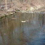 phoca_thumb_m_maena 68 Fotogalerie